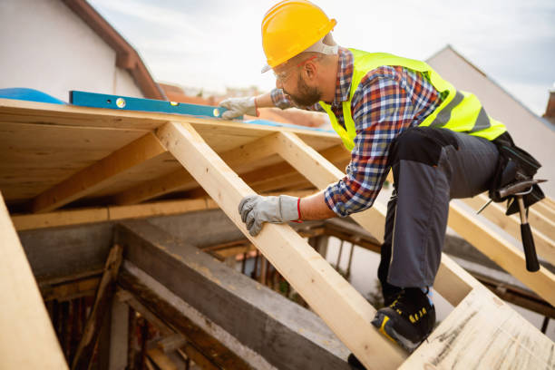 Best Roof Gutter Cleaning  in Jacksonville, TX